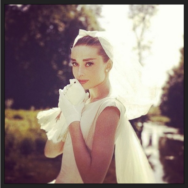 Love her so much @audreykathleenhepburnruston @weloveaudrey...