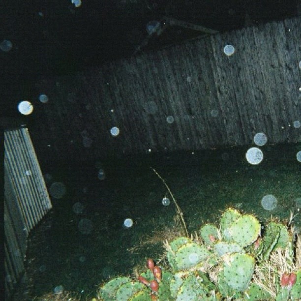 got my photos developed from my weekend out of town....