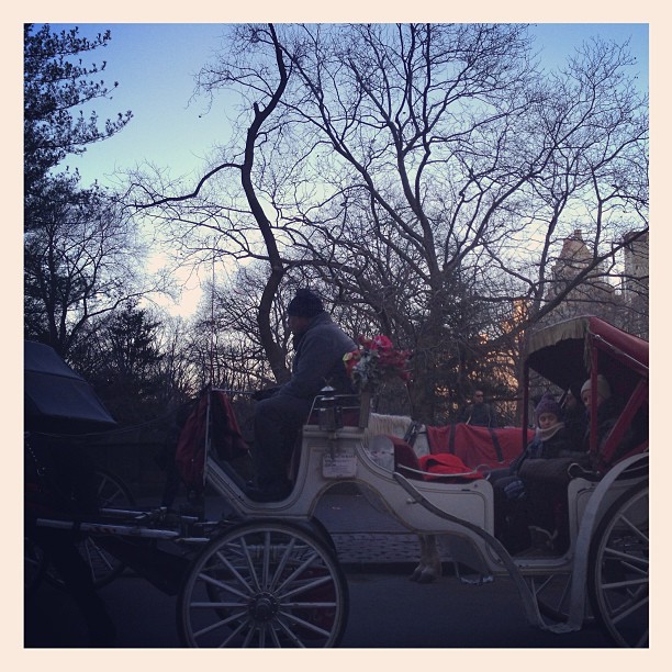 Central Park today ...