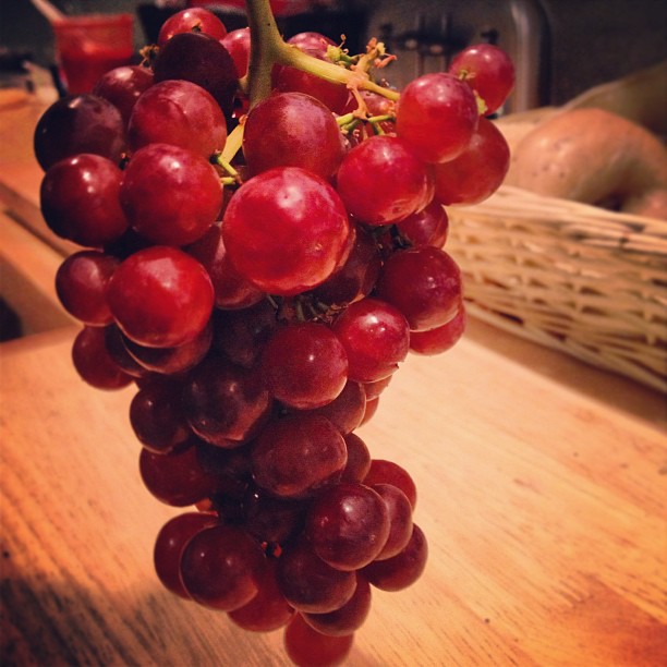 Even the grape bunches are perfectly picturesque. #Hollywood...