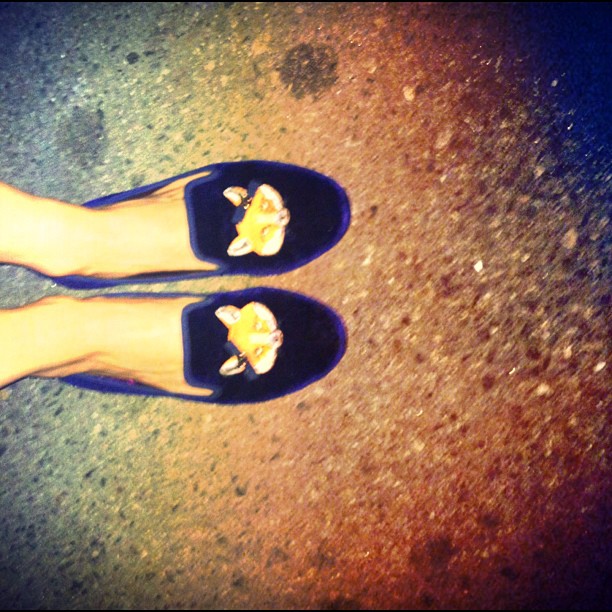 foxy Tory velvets--...