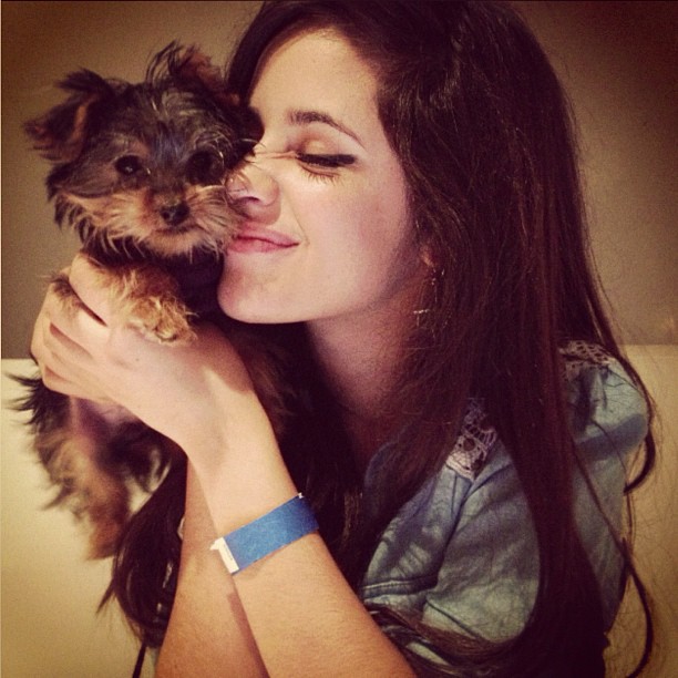 BRITNEY SPEARS' PUPPY IS SO CUTE I LITERALLY CAN'T HANDLE IT...