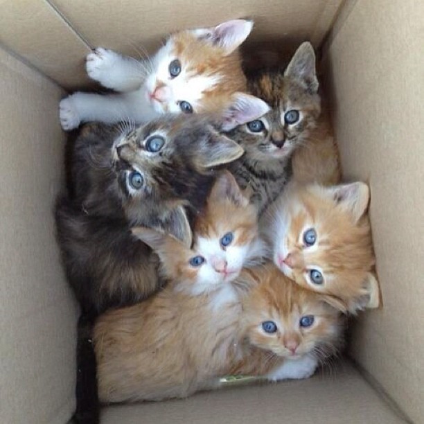 Gimme....