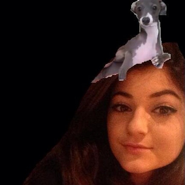 AHHHHH @kermit_thedog #italiangreyhoundobsessed I love youuuuuu...