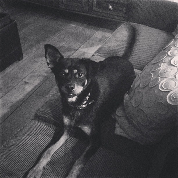 Can't wait to see this little one when I get home tonight...