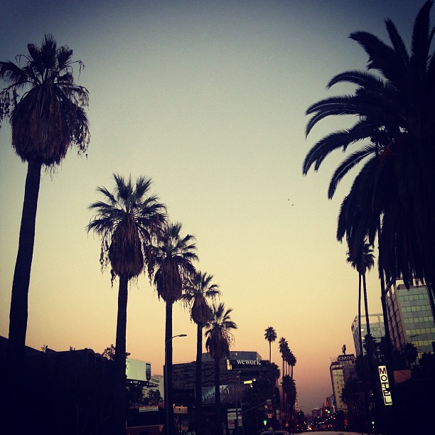 Magic hour in the City of Angels--...