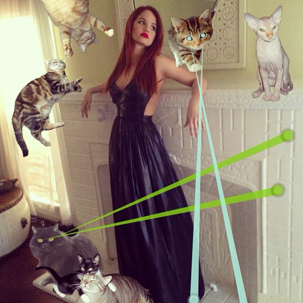 Just a woman and her #CatArmy...