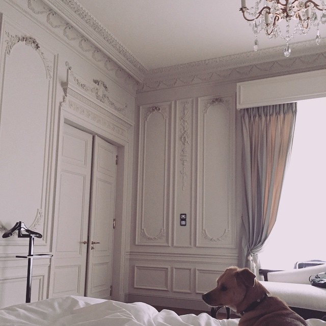 toulouse in paris...