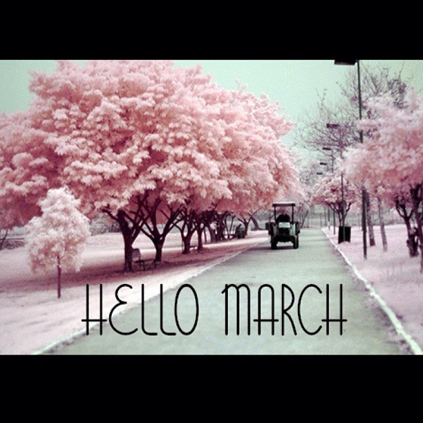 Morning! Really looking forward to releasing some new music this month. What are...