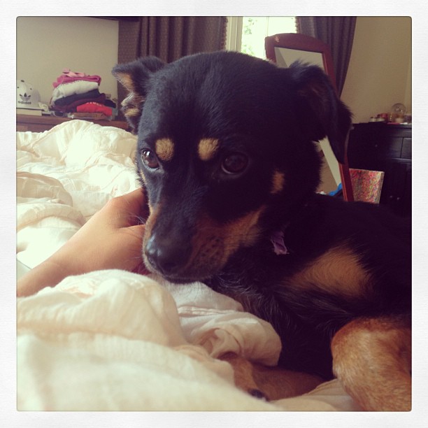 We are not leaving bed all day...