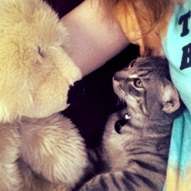 I am thirdwheeling HARD right now...
