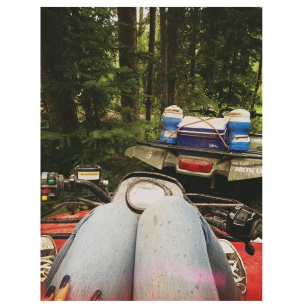 stuck in the woods.....