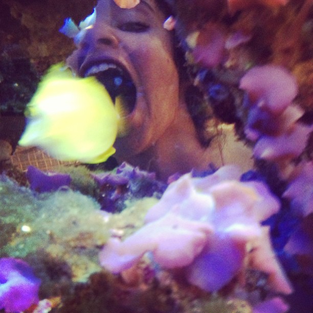 met the finding nemo cast today
and harassed them...