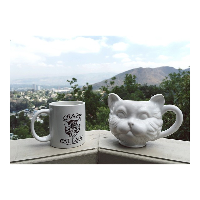 morning beverage haul in gifts // I think my friends are trying to tell me somet...