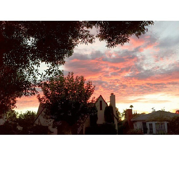 Are you KIDDING me right now, Los Angeles?! #TheSunsetHeardRoundInstagram...