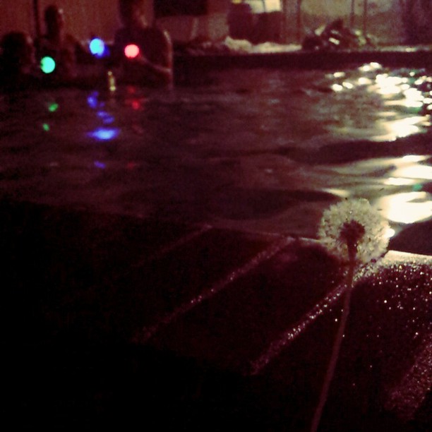 Night swim. #SpaghettiSunday...