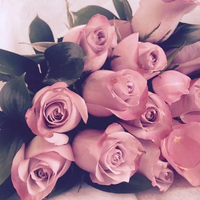 look at the flick of my fkking lavender roses #theylookpinkhere #theyrelavendera...