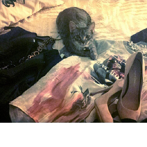 This is the kind of stuff he pulls when he doesn't want you to leave. I don't kn...