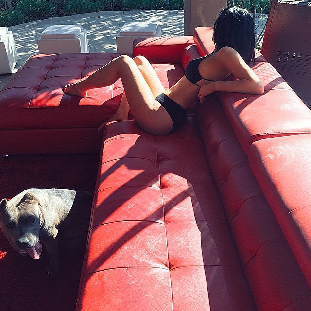 Dogs couch now...