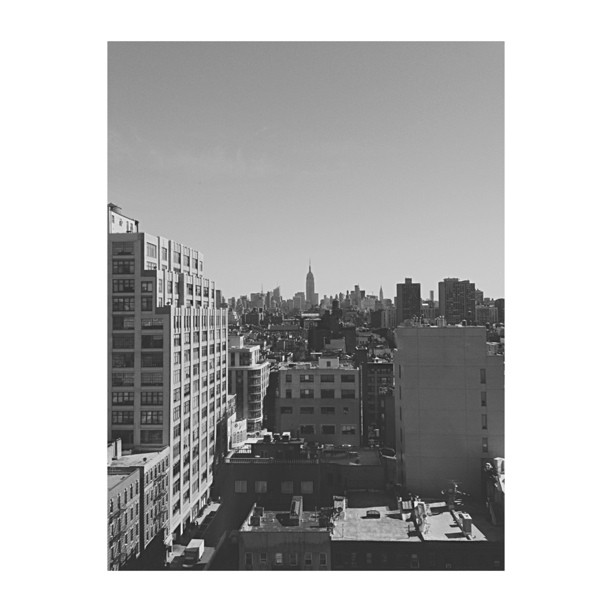 concrete jungle...