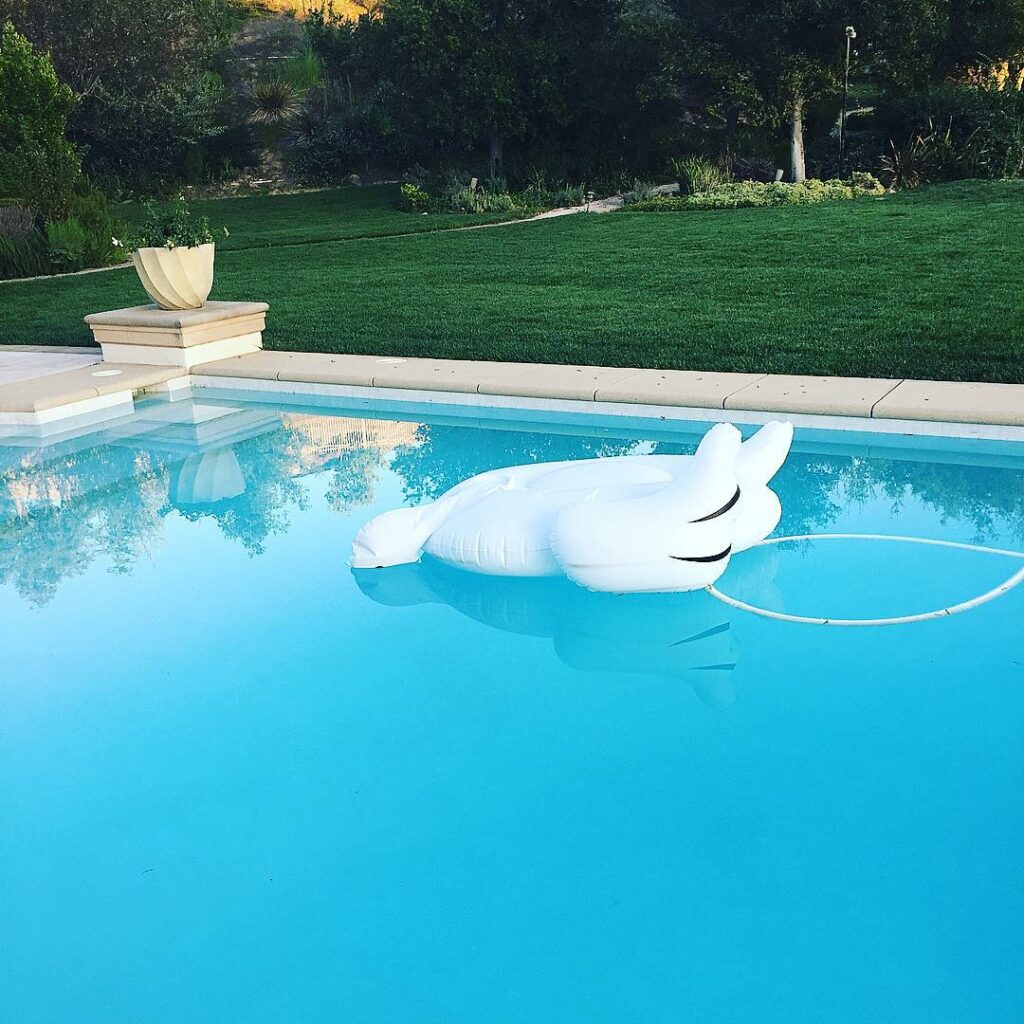 The swan didn't even say goodbye  RIP Swan...