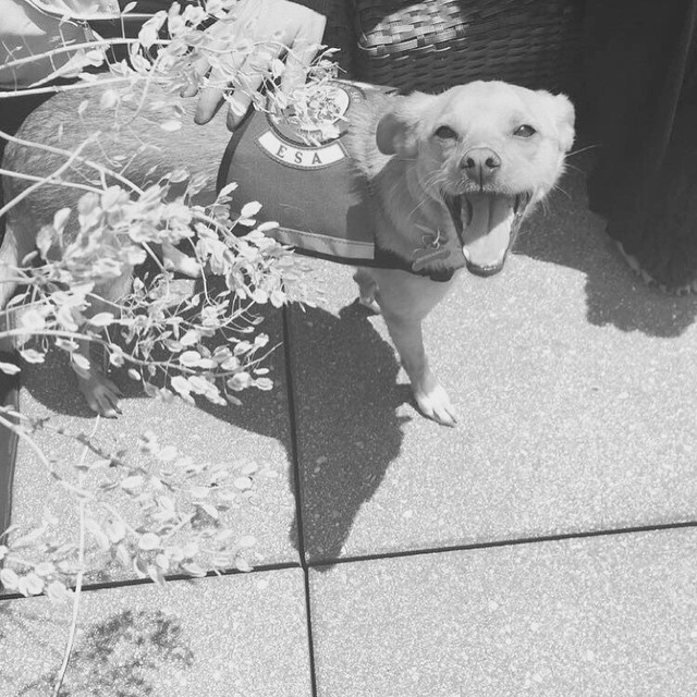 look who cleared his busy schedule and flew in for the occasion.  he's mid sayin...