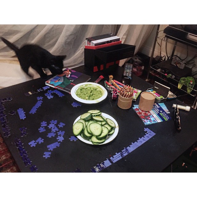 sickness chronicles: fort building, making snacks, crafting our medicine charts ...
