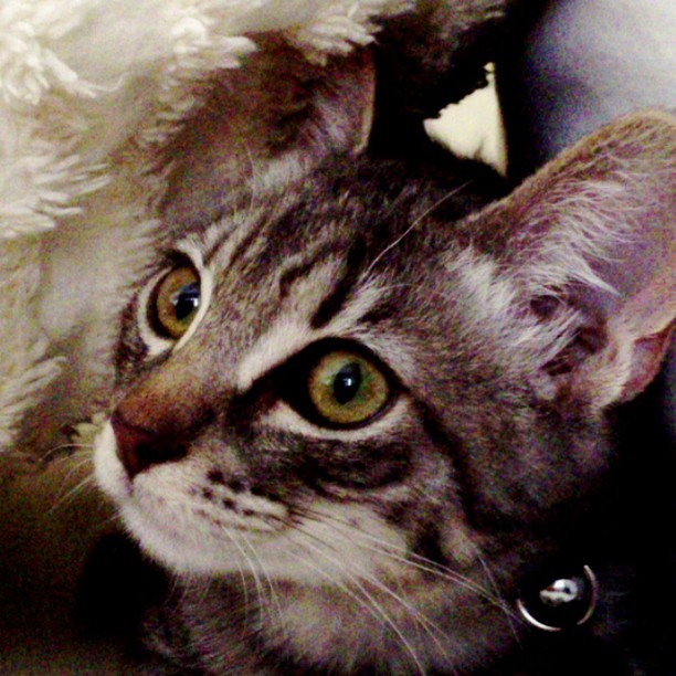 Curious little dude....