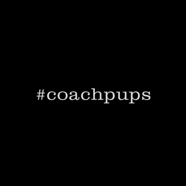 ya baby boy Toulouse shot by the incredible Steven Meisel @coach #coachpups #DAT...