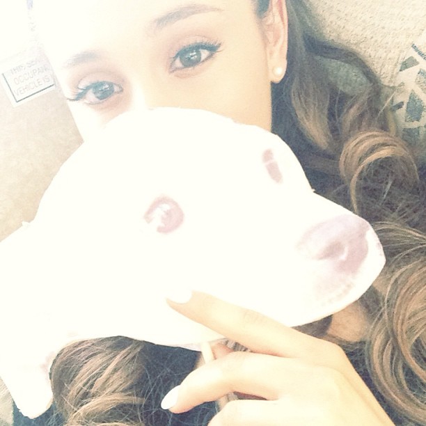 Someone brought me a cardboard cut out of Toulouse's head today. It's my favorit...
