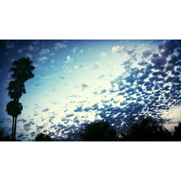 #LosAngeles #California...
