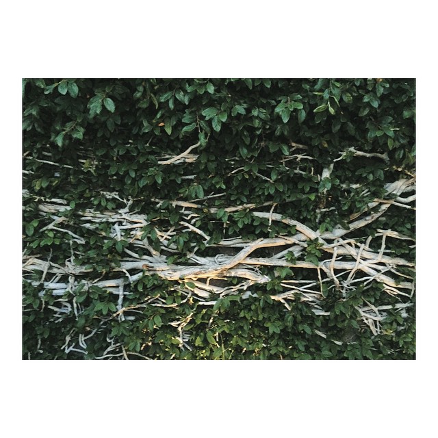 #nature...