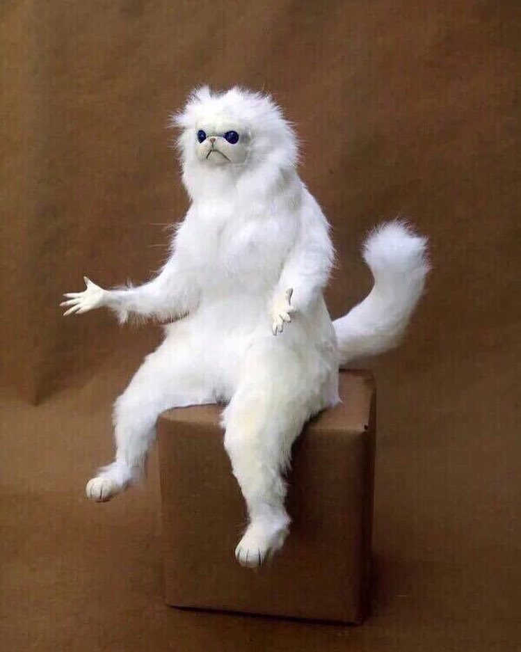real life picture of me in all situations...