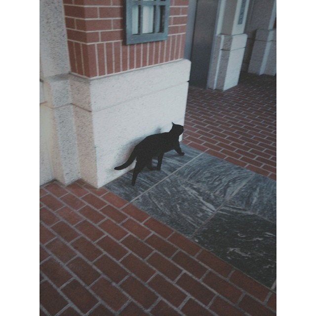 crossing paths --- ...