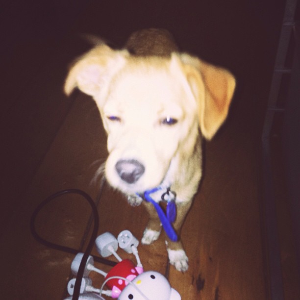 "Plz turn d flash off mOm" - Toulouse ...