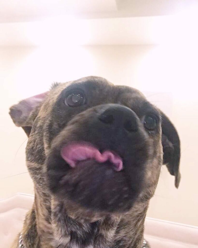 ...
