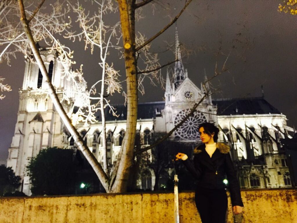 NOTRE DAME. guys. Paris looks like the place I live in inside my head. red flowe...