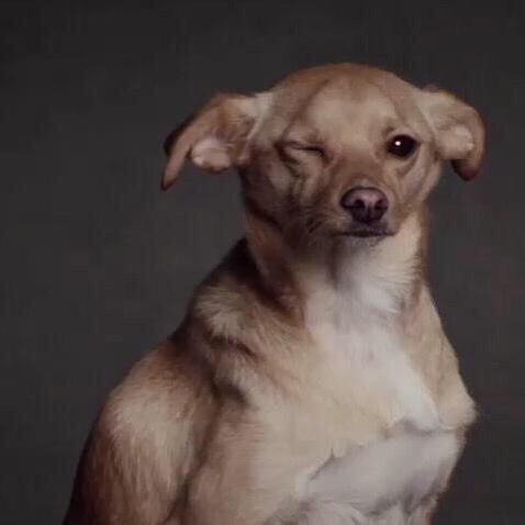 mood...