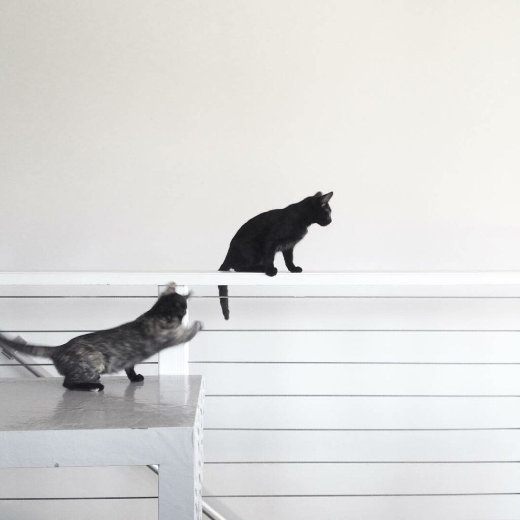 playtime is important...