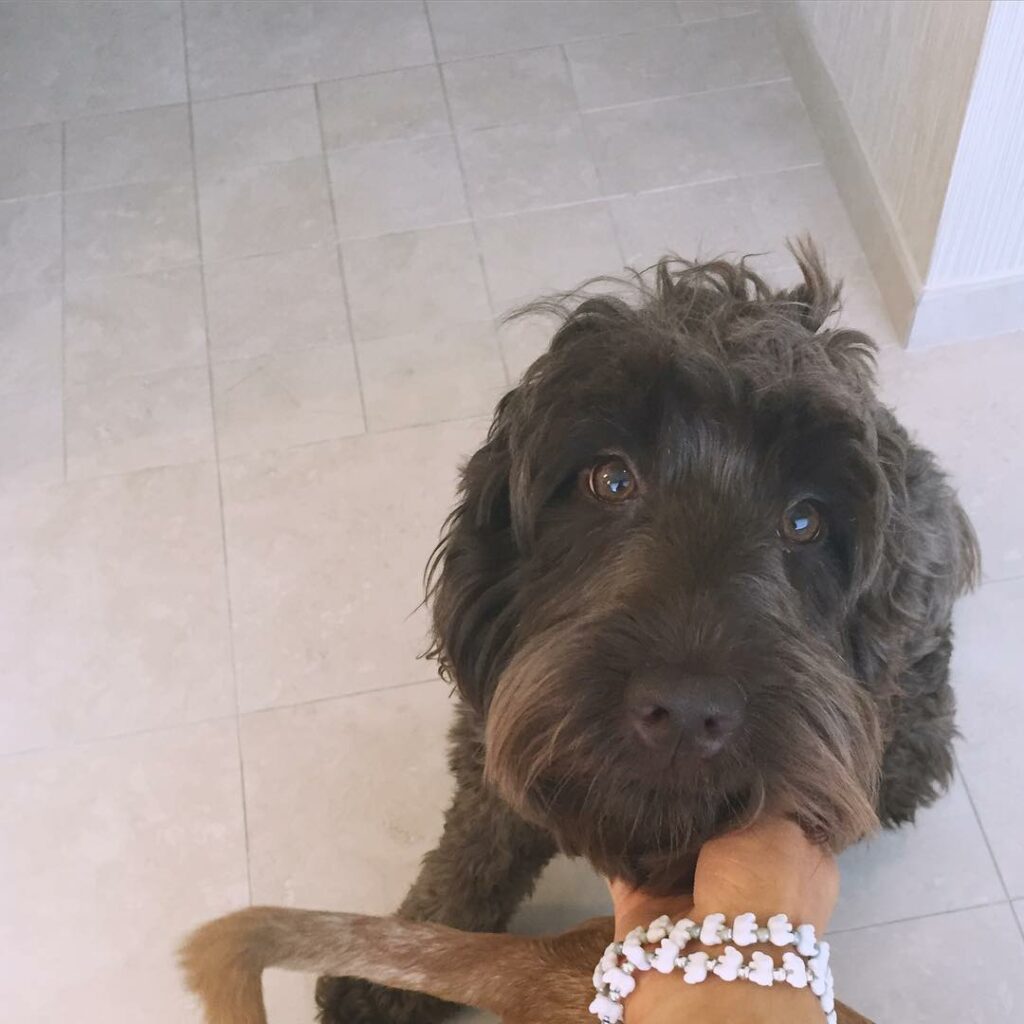 love (bracelets courtesy of my babes, I'm still wearing them)...