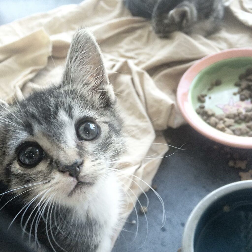 someone please rescue/be best friends with this bb because my heart wants but my...