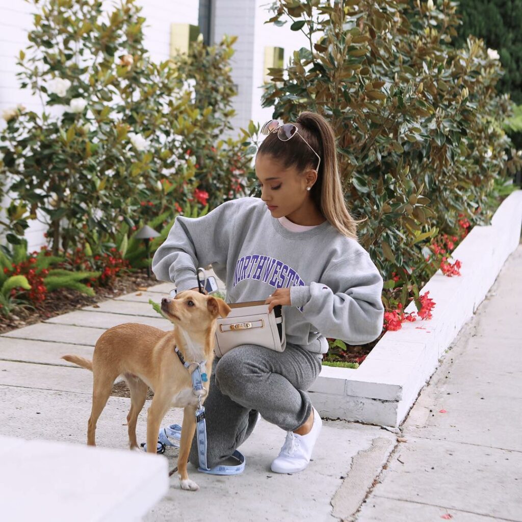 Ari x Prince of @Coach x cute @Coach clutch (for carrying Toulouse's royal treat...