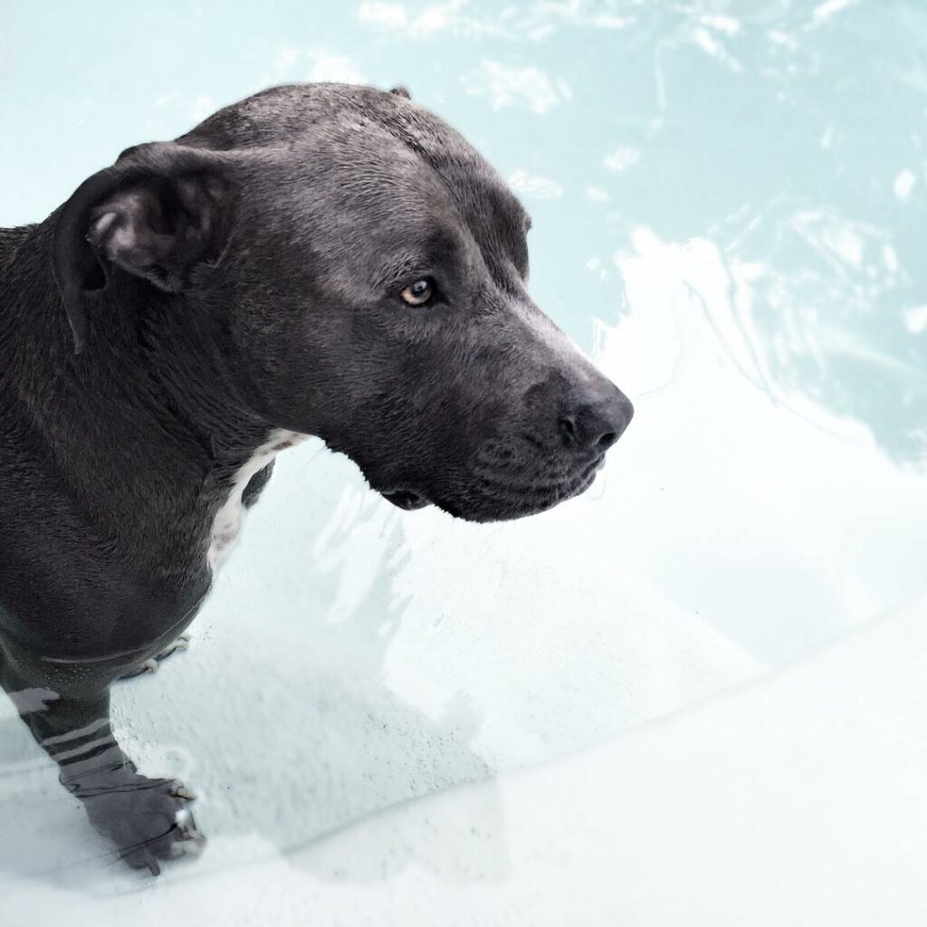 handsome swimmer...