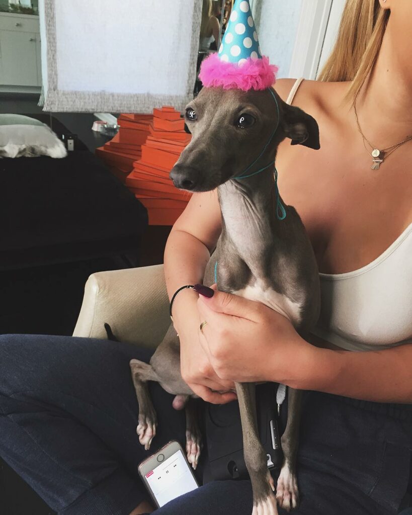 happy 1st birthday to my Norman! I love you so much!!!...