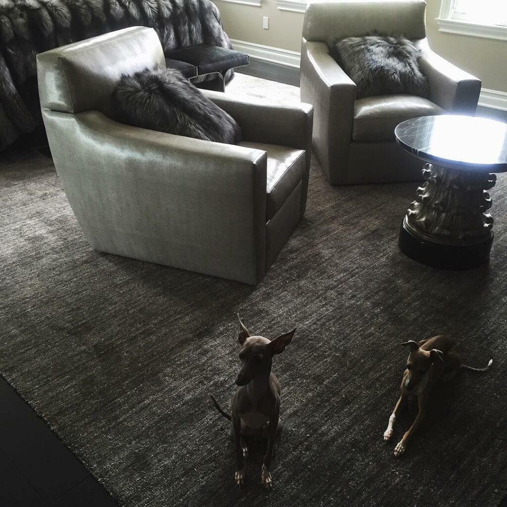 wow I love my new silk rug from @mansourmodern thank you Benjamin and @jeffandre...