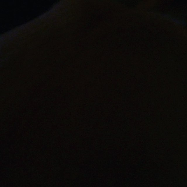 wtfff is toulouse going thru right now?!?! anybody here speak pup? (don't worry ...