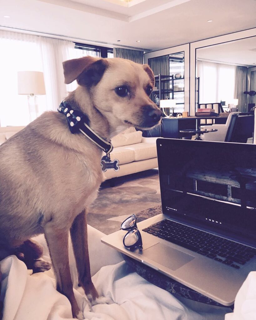 toulouse is LIT for "It Follows"...