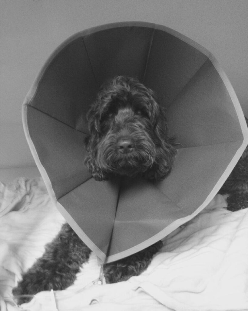 my angel is going thru it. breaks my heart to see her hurting. :'( thank you for...