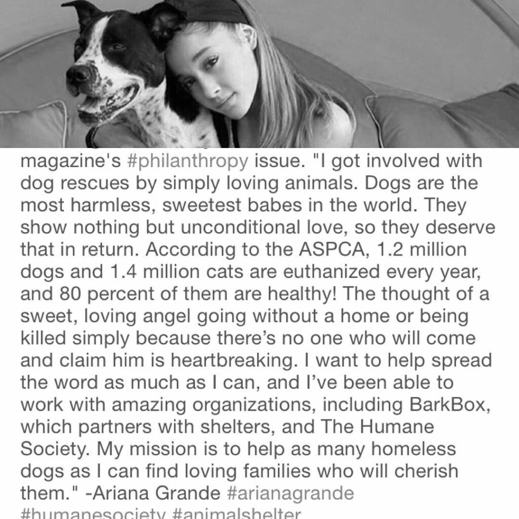Ariana Grande: thank you @billboard for featuring me & the pups! Thank you to @barkbox for allo… thank you @billboard for featuring me & the pups! Thank you to @barkbox for allo...