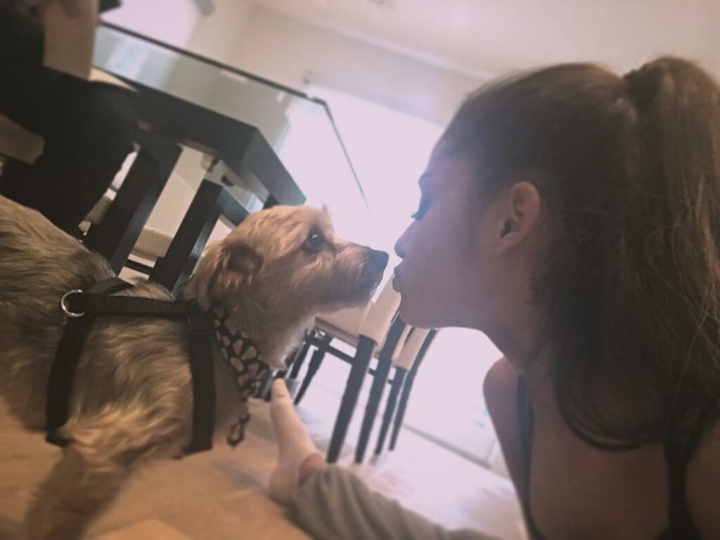 you can't even imagine how this little one has changed my life. #strauss #themou...